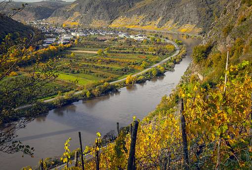 Genußreise auf Mosel & Saar