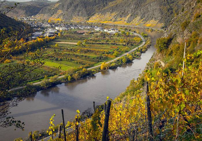 Mosel im Herbst